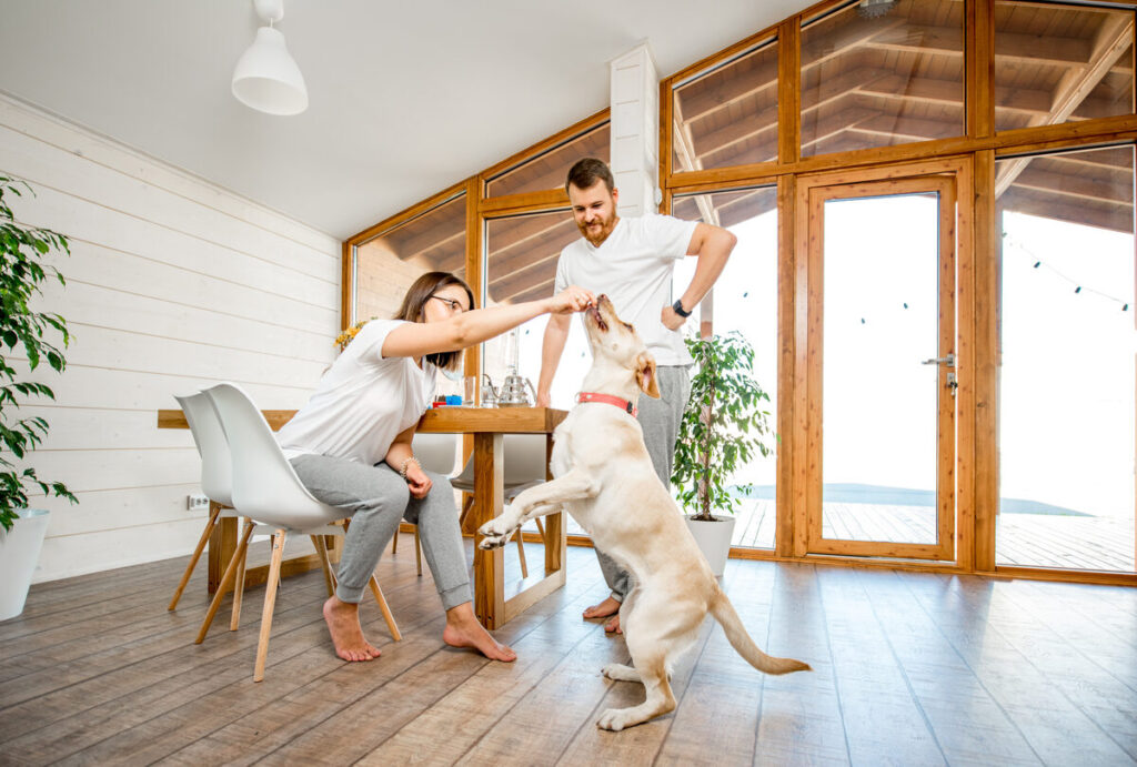 Living in Wildwood Keller: A Neighbor’s Guide to Comfort, Community, and Connection